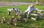 2004 Vid Saxen och matar änderna varje morgon